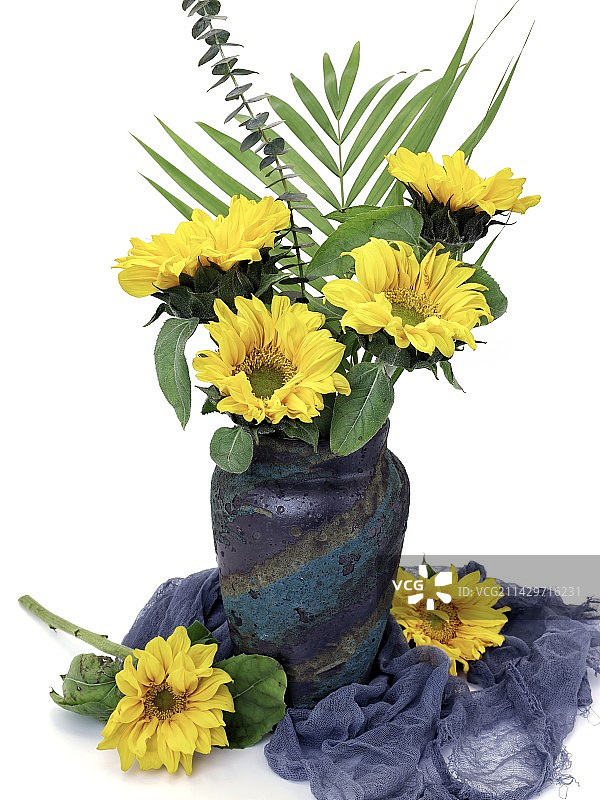 向日葵图片素材