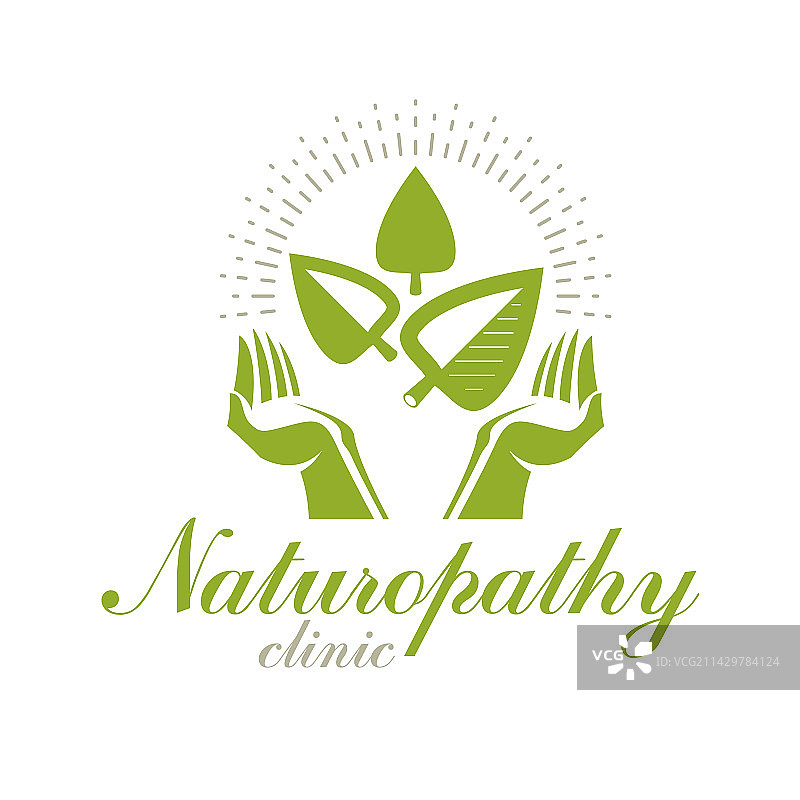 手捧绿叶的呵护之手图片素材