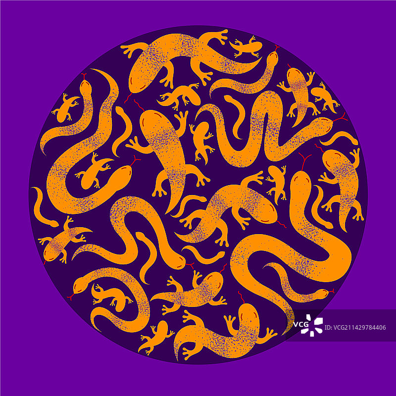 蛇和蜥蜴圆形构图图片素材