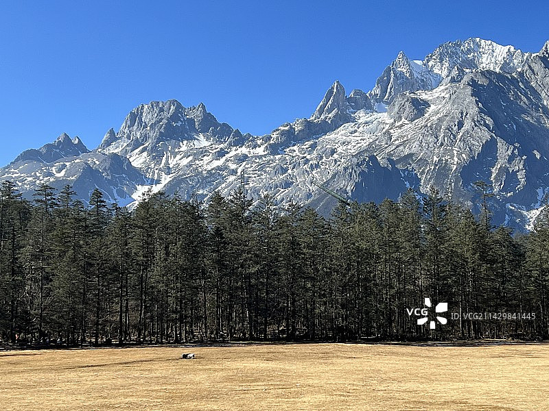 玉龙雪山云杉坪图片素材