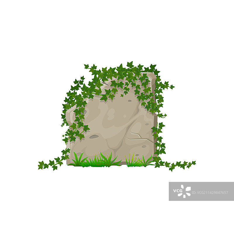 岩石和石板上的卡通森林常春藤叶子图片素材