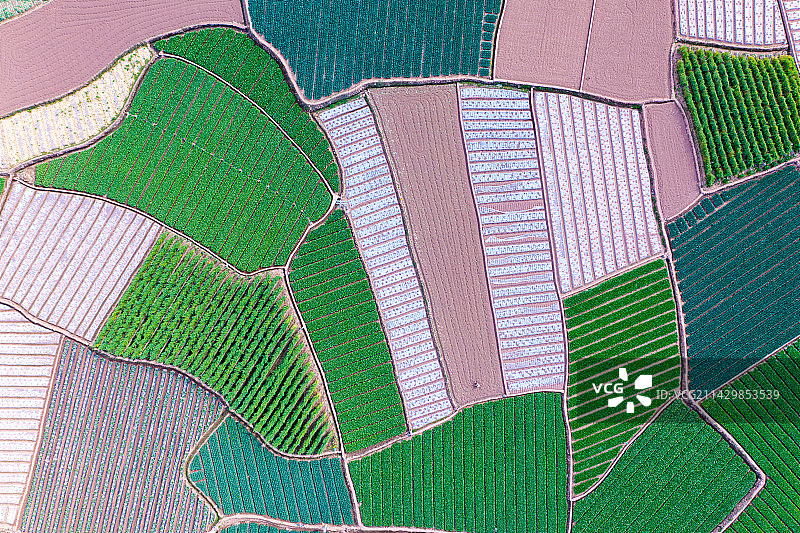 云南玉溪海通县多彩梯农田航拍图片素材