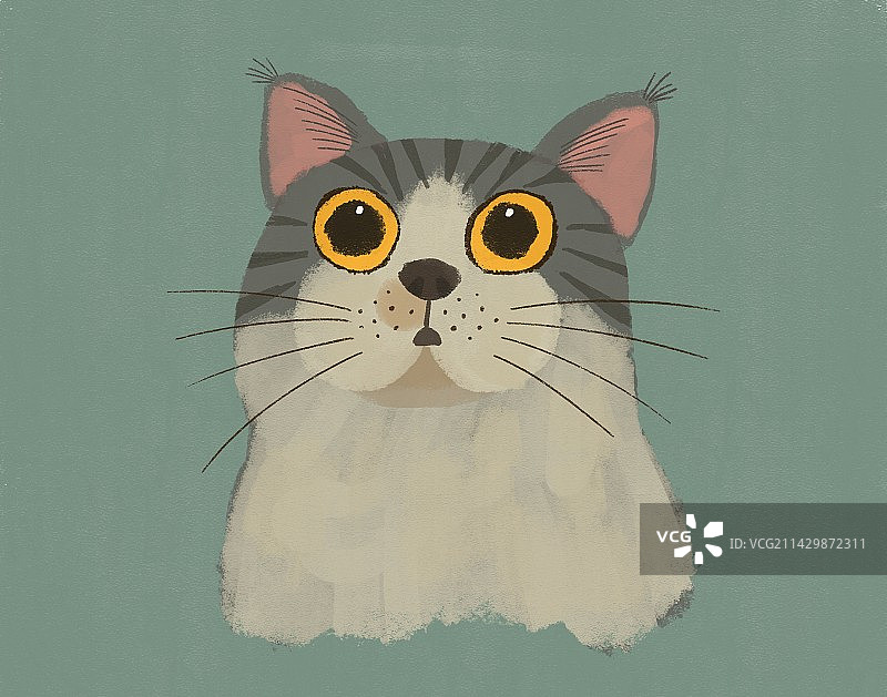 可爱的猫图片素材