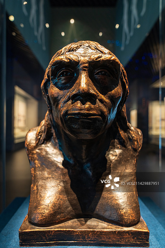 北京房山周口店遗址博物馆藏——北京猿人半身复原像图片素材