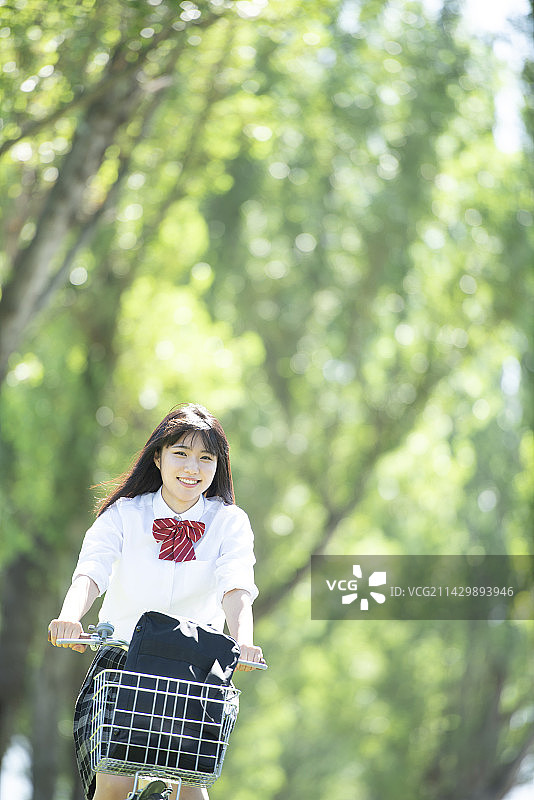 骑自行车穿过杨树林的女学生图片素材