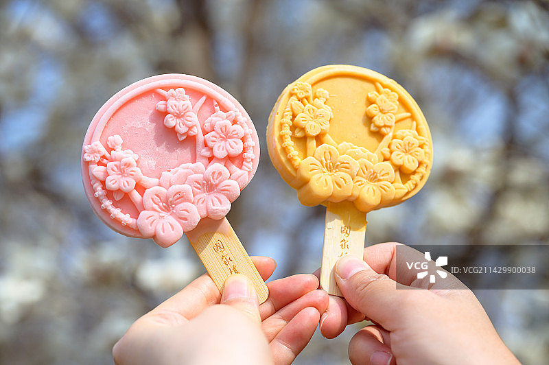 国家植物园文创雪糕图片素材