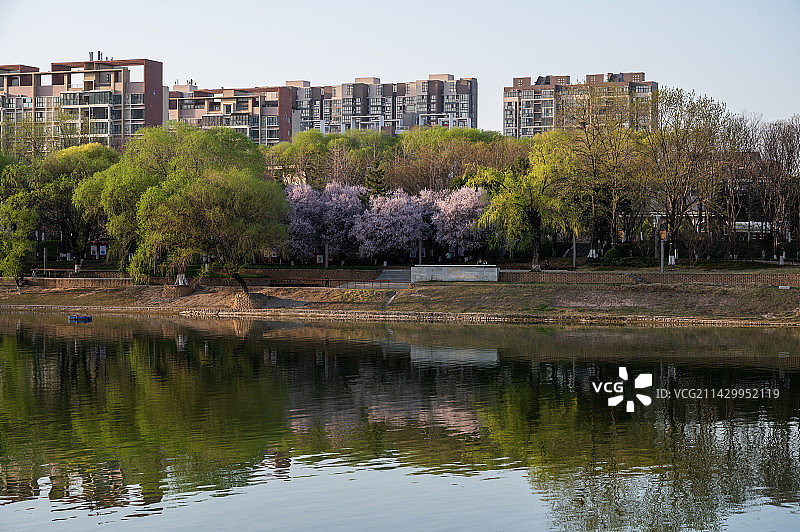 沙河春光图片素材