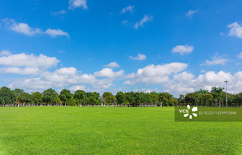 海口市万绿园公园的蓝天白云下的绿草地图片素材