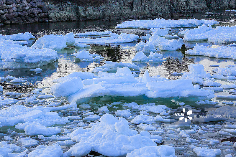 纽芬兰海面四十年一遇的千里冰封图片素材