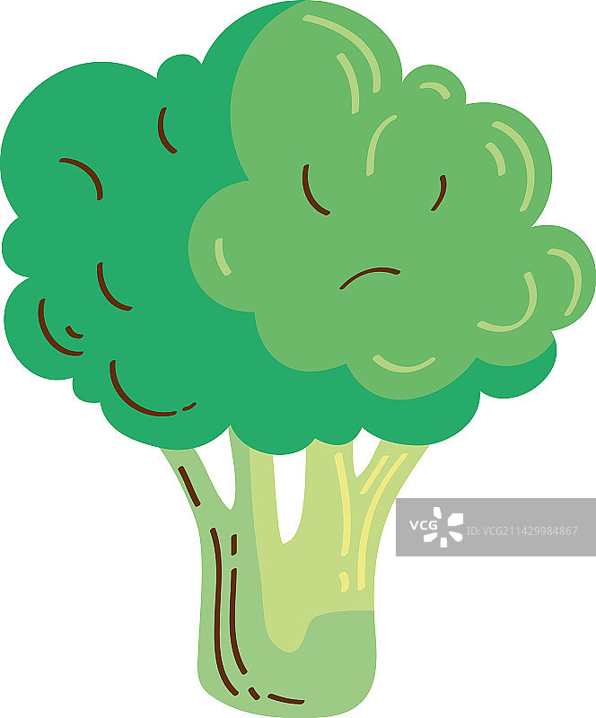 新鲜西兰花蔬菜图片素材