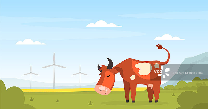 在牧场上吃草的带角的棕色斑点奶牛图片素材