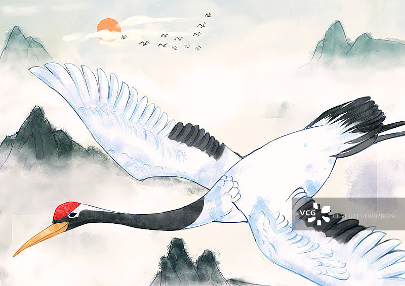 飞翔的丹顶鹤图片素材