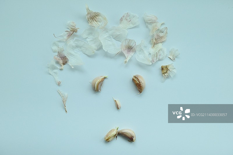 发芽的大蒜创意特写图片素材