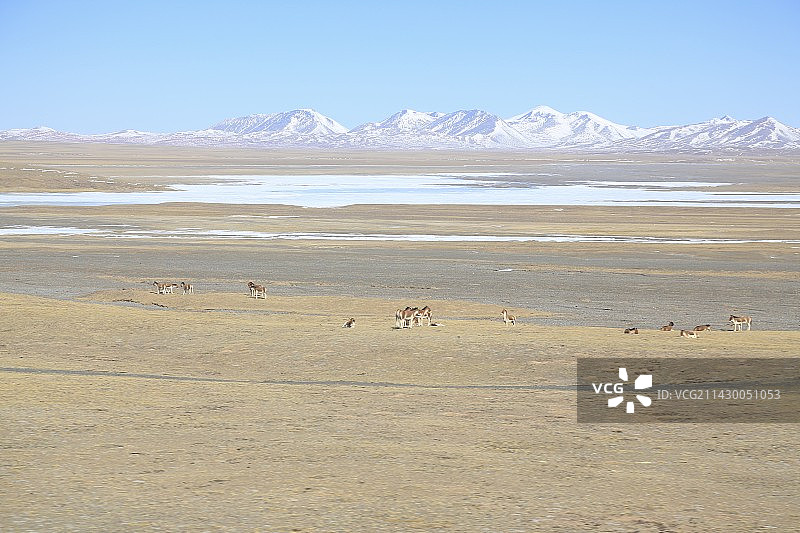青藏铁路可可西里图片素材