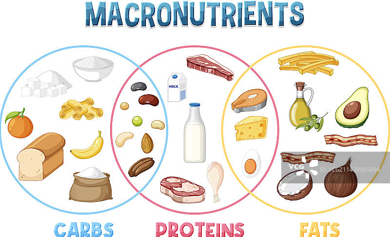 主要食物类别的宏量营养素图片素材