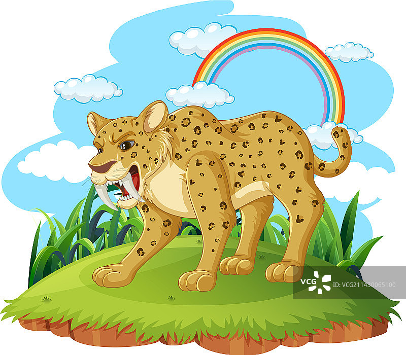 自然环境中的剑齿虎图片素材