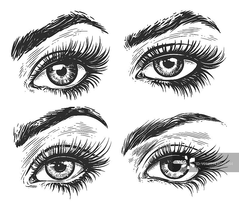 带眉毛的美女眼睛素描图片素材