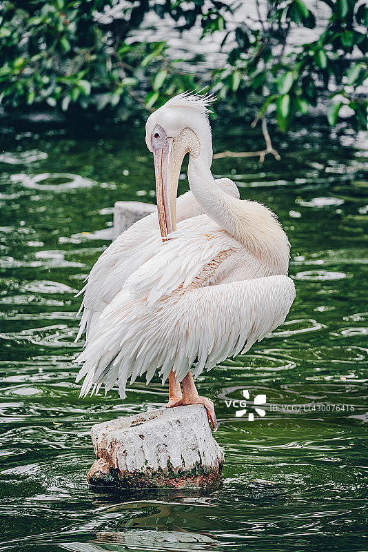 动物园图片素材