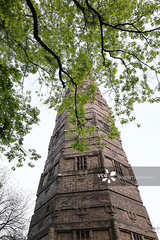 杭州西湖保俶塔风光图片素材