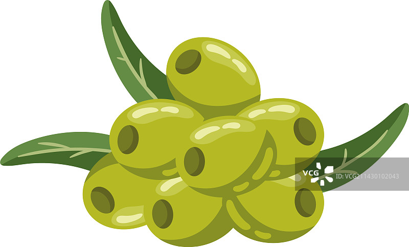 绿色橄榄籽图片素材