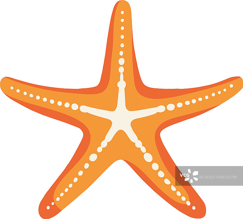 奇异海星海洋生物图片素材