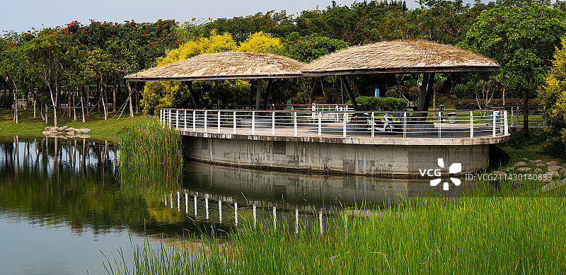 三亚抱坡溪湿地公园图片素材