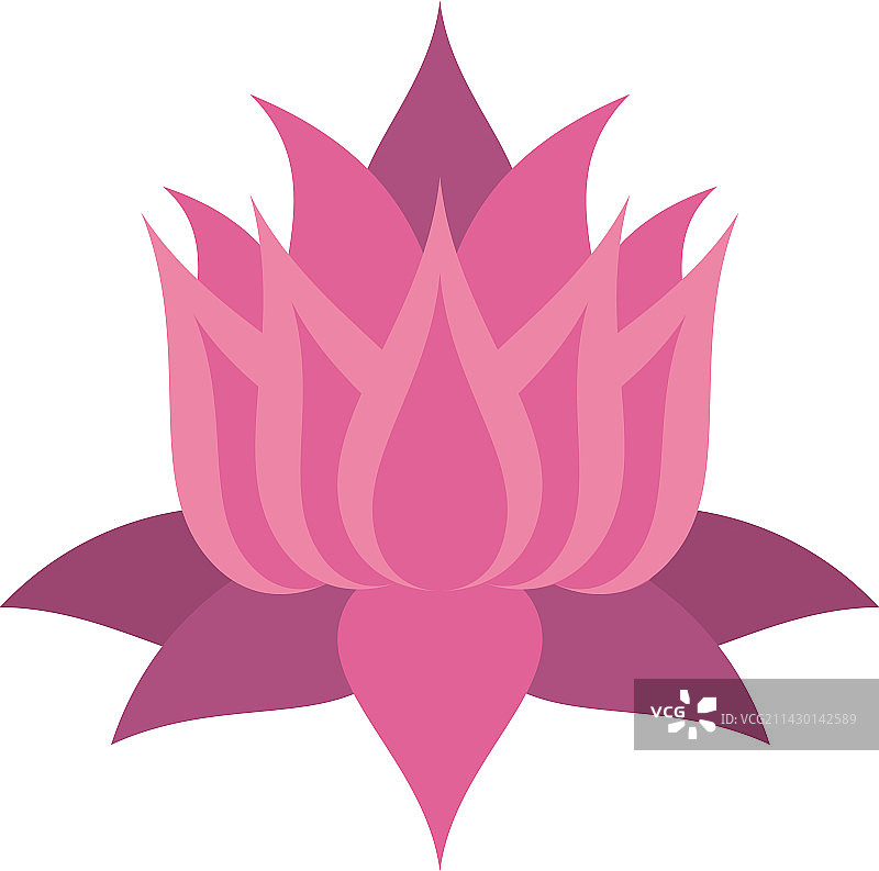 粉莲花图片素材