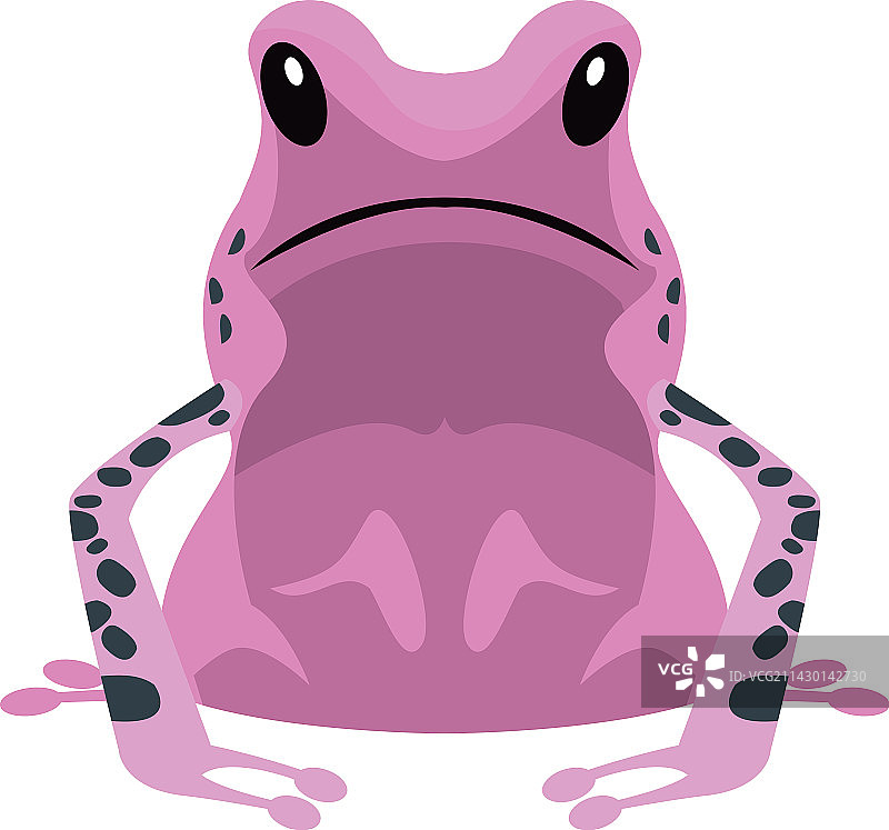 丁香色异国情调的青蛙图片素材
