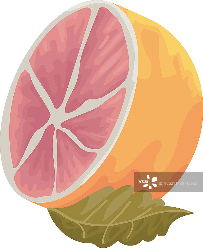 粉色西柚与叶子图片素材