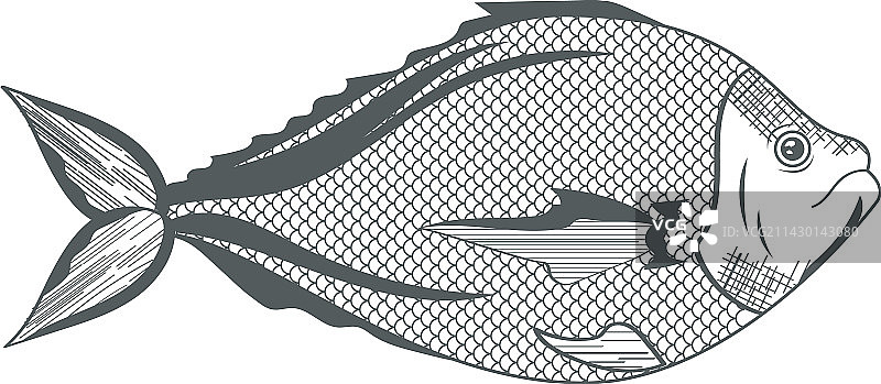 新鲜海鲜图片素材