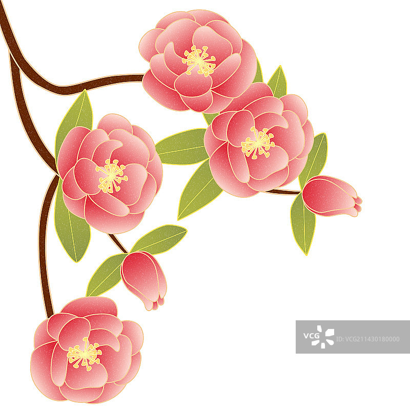 国潮风月季矢量插画图片素材