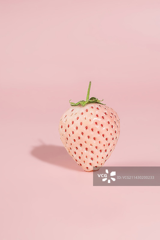 淡雪白草莓图片素材