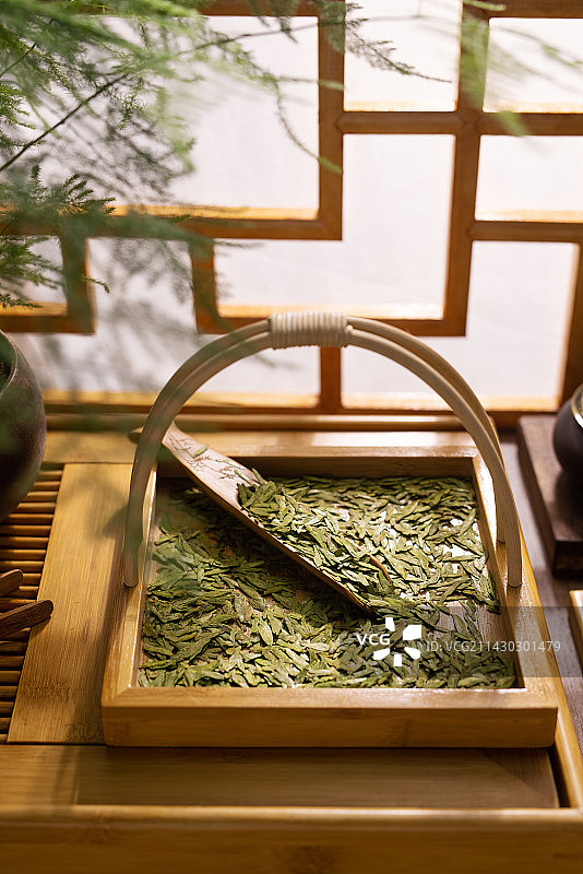 龙井茶,清新,传统,茶文化图片素材