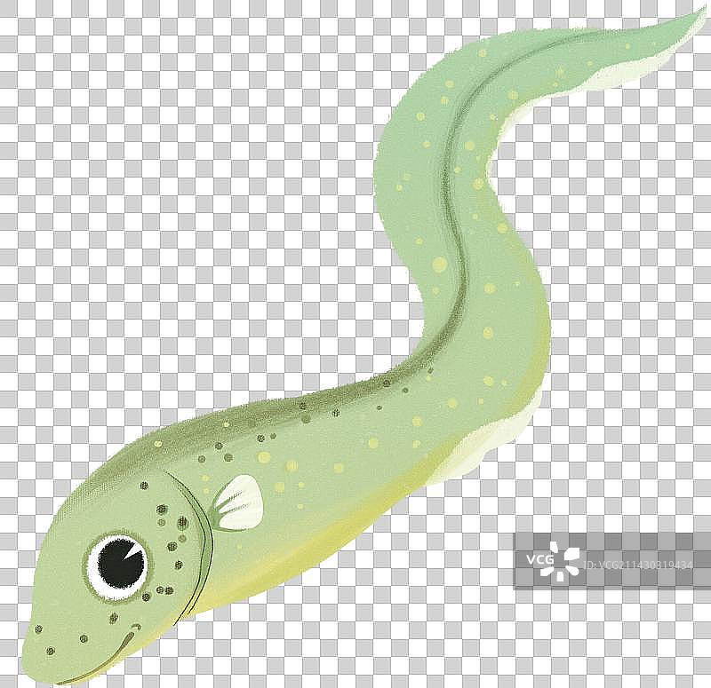 游泳的卡通电鳗鳗鱼动物元素图片素材