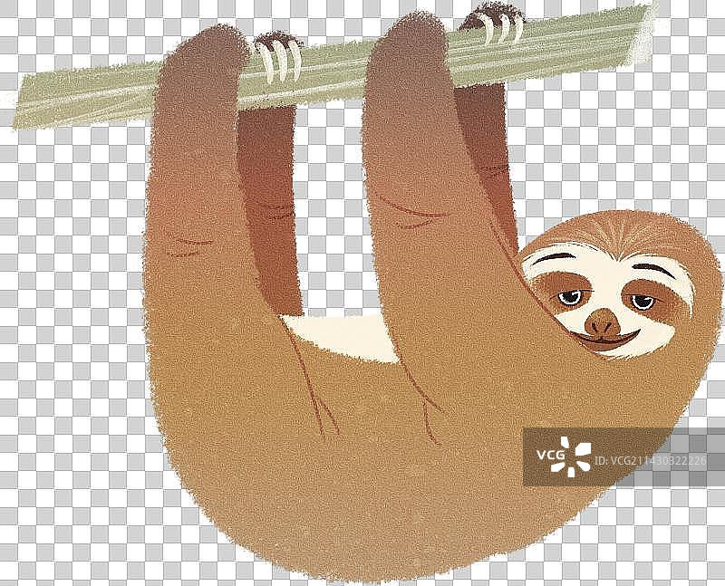 悬挂的微笑树懒动物元素图片素材