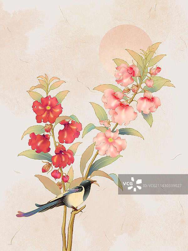 国画风二十四节气之花,立秋之花,凤仙花图片素材