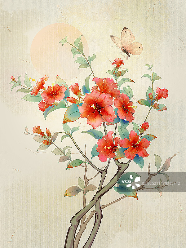 国画风二十四节气之花,夏至之花,木槿花图片素材