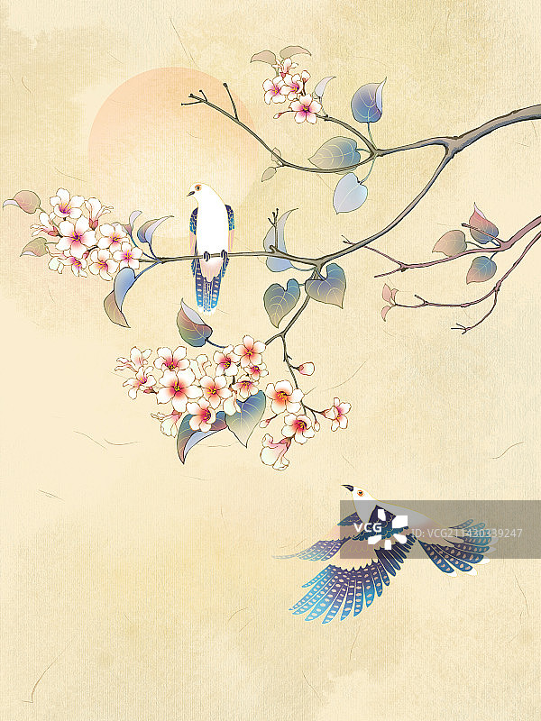 国画风二十四节气之花,清明之花,梧桐花图片素材