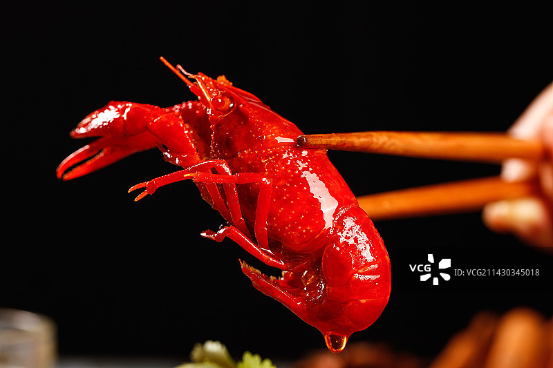 深底上的小龙虾图片素材