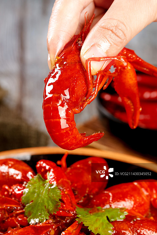 深底上的小龙虾图片素材