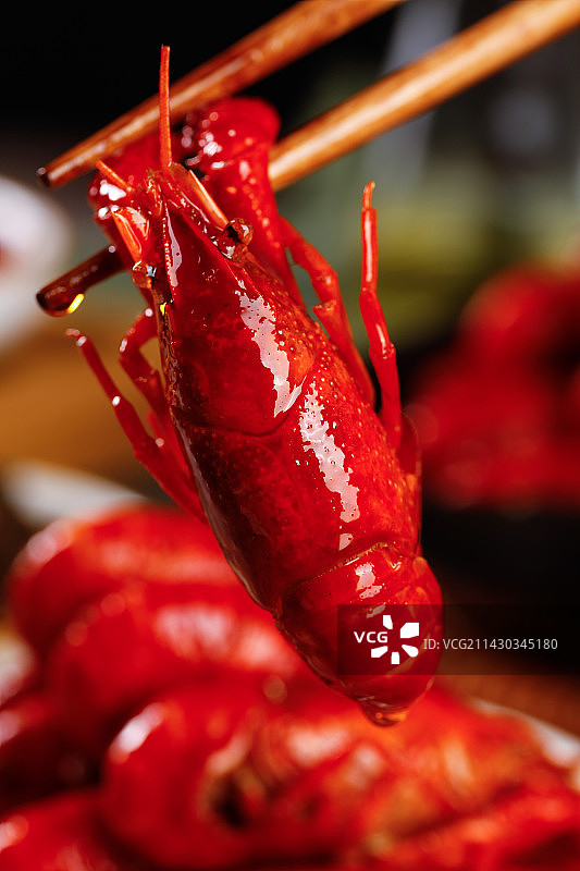 深底上的小龙虾图片素材