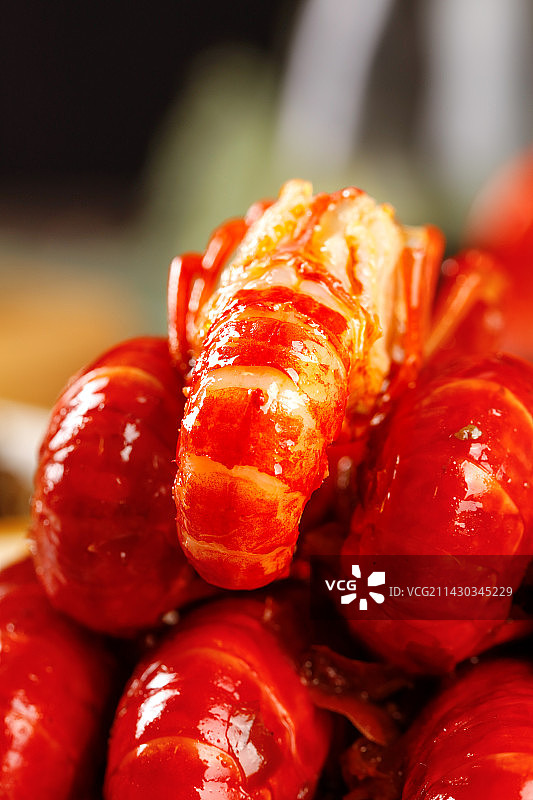 深底上的小龙虾图片素材