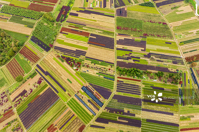 苗圃春色图片素材