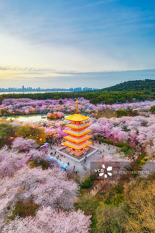 湖北省武汉市东湖磨山樱园（东湖樱花园）五重塔春季户外风光日落航拍图片素材