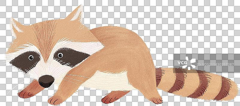 小浣熊动物元素图片素材