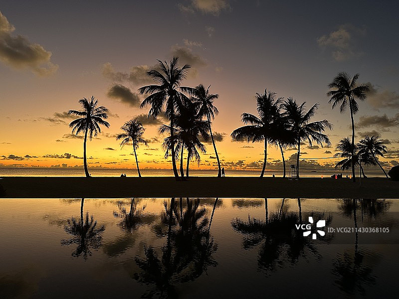 马尔代夫黄昏椰林剪影图片素材