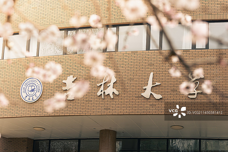 长春 吉林大学 花草 春季 桃花图片素材