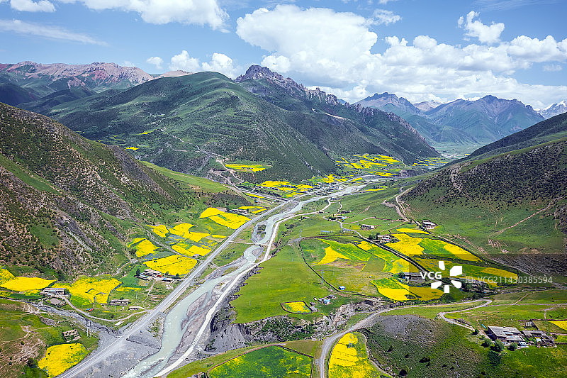 川藏公路317上的油菜花图片素材