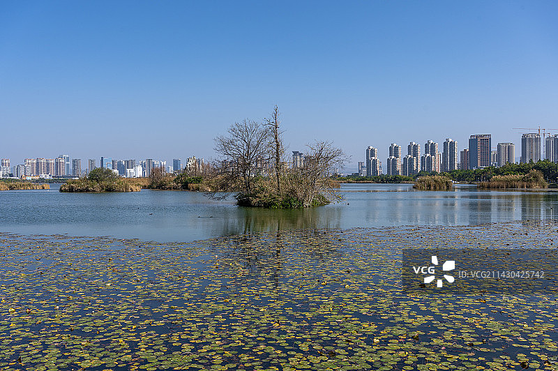 云南弥勒市湖泉生态园风光图片素材