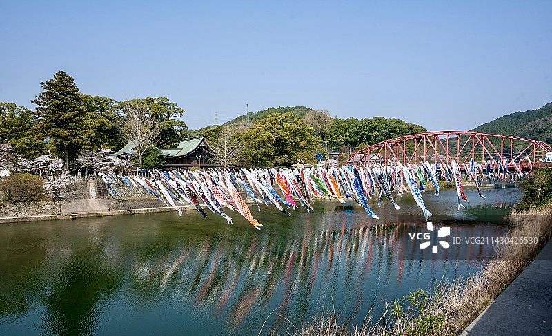 飘扬的鲤鱼旗 儿童节图片素材
